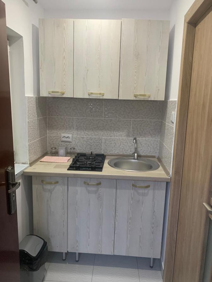 Casa Anastasia-Constanta Delfinariu Kültér fotó